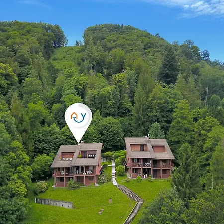 Il Vecchio Faggio - Happy